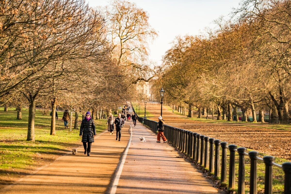 A sunny autumn day in a Royal Parks location, with people strolling and walking dogs along a tree-lined path. Bare trees and warm light create a serene, inviting atmosphere.