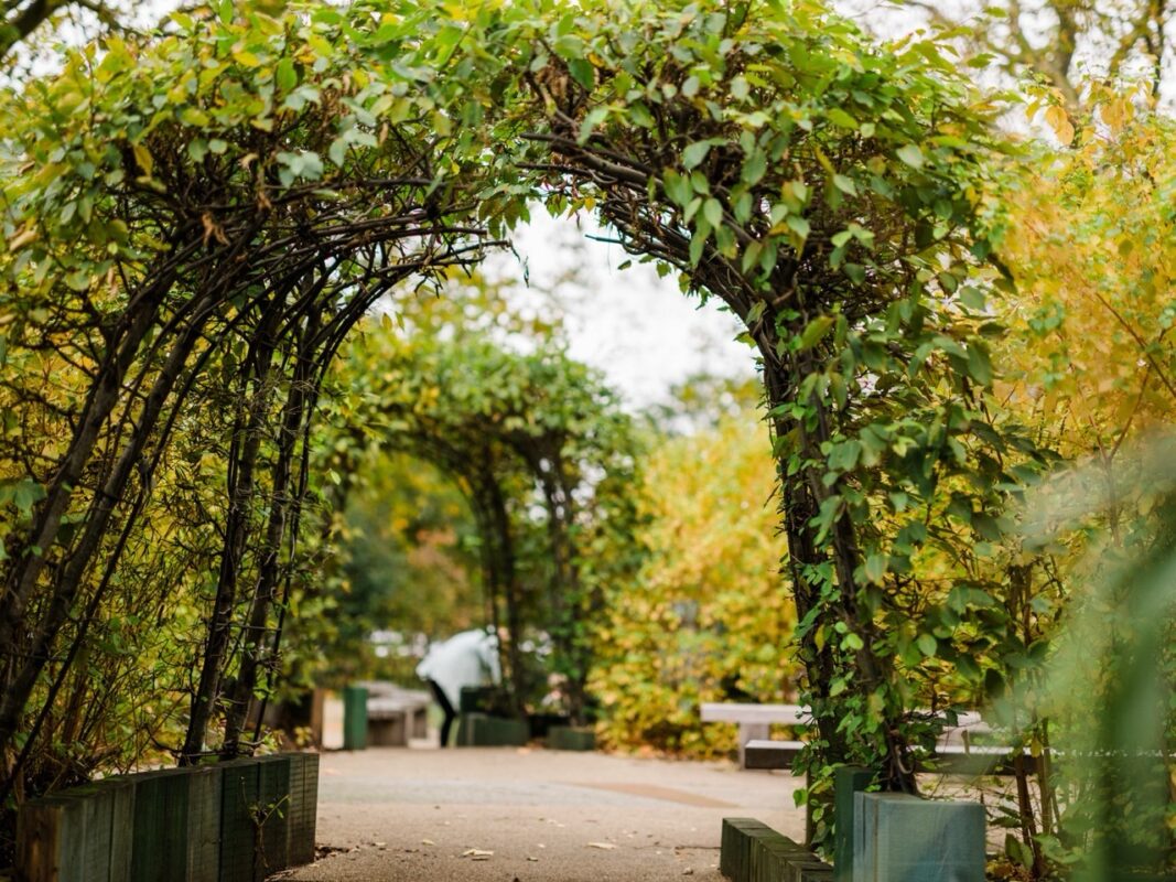 Lush garden archway with vibrant green foliage leads to a serene pathway. Benches line the path, offering a peaceful, inviting atmosphere.